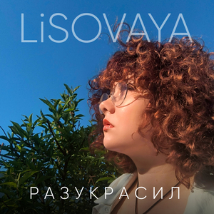Разукрасил