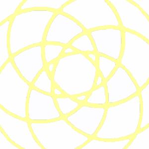 Chrysanthemum