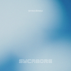 Sycamore