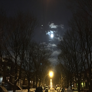 Humbly (feat. Kevin Ly KOLD)