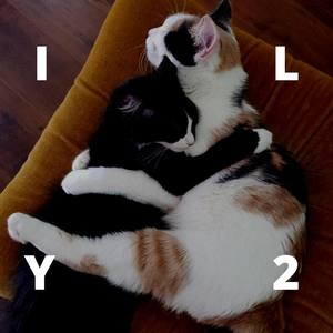 Ily2
