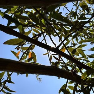 这首还挺美，但是也没写完