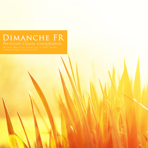 Mendelsson: Piano Concerto No. 1 In G Minor Op. 25 - II. Andante (Nature Ver.)