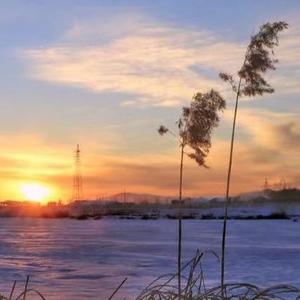 七月的风懒懒的