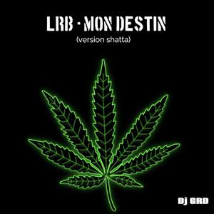 LRB (Mon Destin (Version remix shatta)