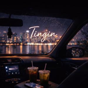 Tingin