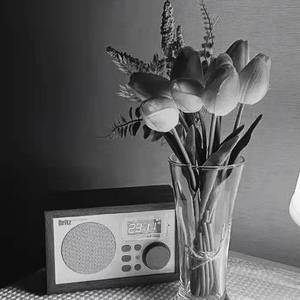 内疚（翻自 苏飞 Sufei）