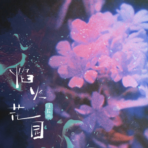焰火花园（DJ俊海版）沉沦版