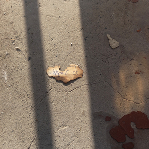 Arastaghits kakhvats