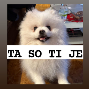 Schyza