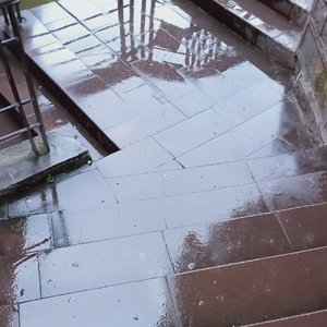 真的不想想太多（就是摆烂）