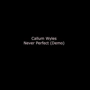 Never Perfect (Acoustic)