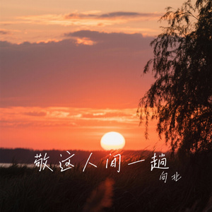 敬这人间一趟