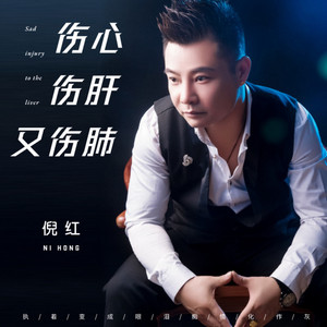 伤心伤肝又伤肺 (0.8降速版)