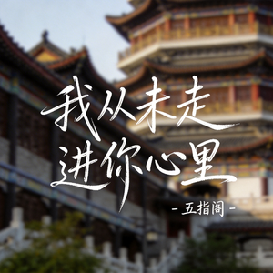 我从未走进你心里（抖音热播版）