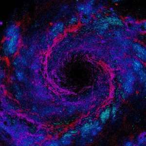 埋汰（prod.酷癌KooEye）