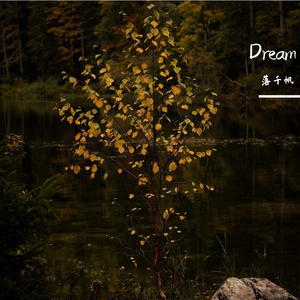 相约卡农（口琴版）