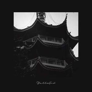 甲辰花街国师塔夜游记 (Annual Memories)