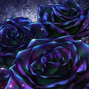 pink rose