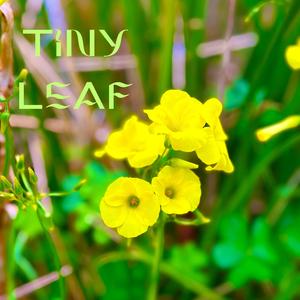 Tiny Leaf