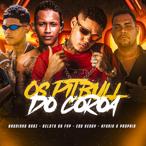 Os Pitbull do Coroa