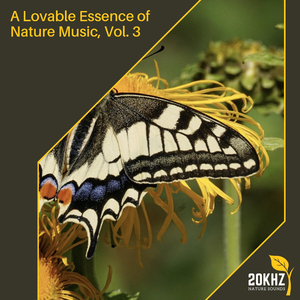 Soothing Rain At Palm Garden