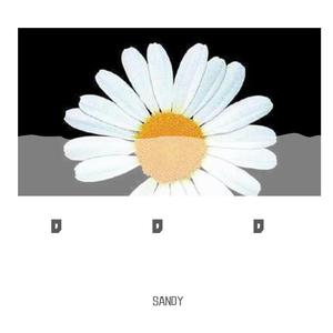 Maksim Mrvica-克罗地亚狂想曲 琵琶（SANDY remix）