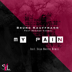 My Pain (Radio Edit)