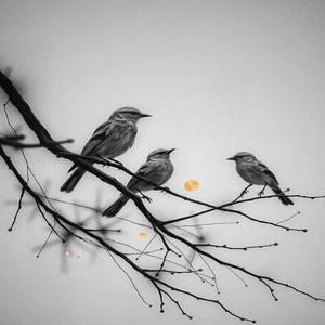 Посмотреть (feat. Rodzanice)