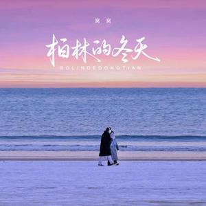 柏林的冬天 (DJ光波版)