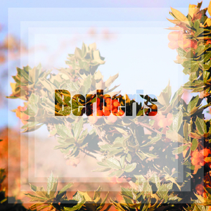 Murmullos (Original Mix)