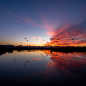 Andai Aku Bisa Orchestra