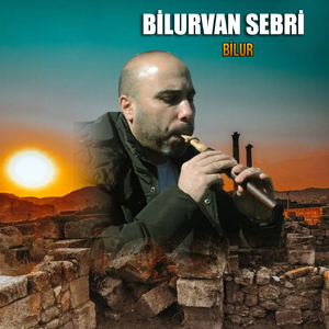 Bilur