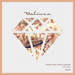 Life Signs (Original Mix)