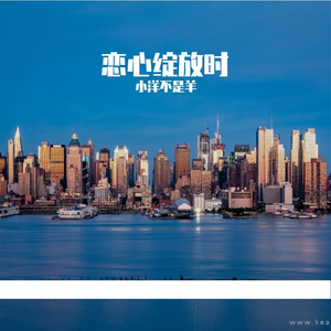 沉默的伤口