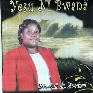 Aliyechukua Masikitiko Yetu