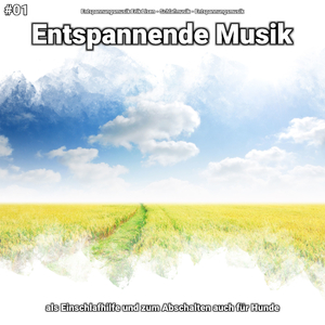 Entspannende Musik, Pt. 84