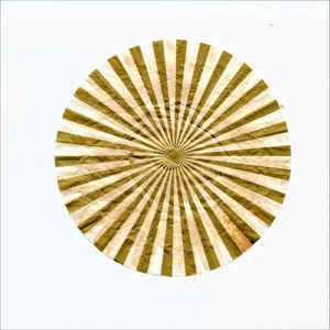 Composed on the Airplane