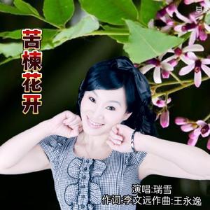 苦楝花开 (瑞雪版)