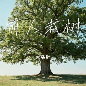 前人栽树