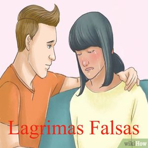 Lagrimas Falsas