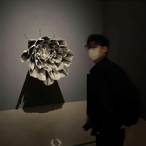 虽然我词不达意