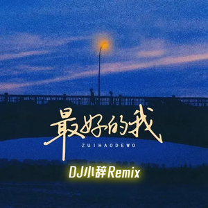 最好的我（DJ小辞Remix）