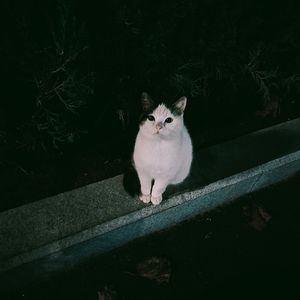 红