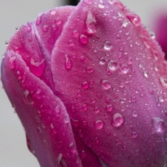 始于初见 止于终老