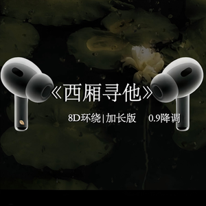 西厢寻她 (0.9降调环绕版)