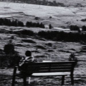 你释怀了那我呢