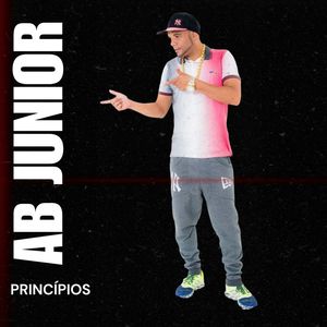 Princípios