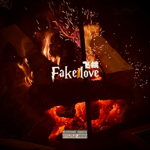 飞蛾（Fake love）