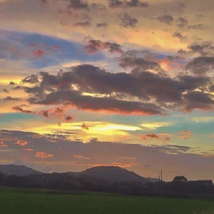 不必牵强说爱我（现场版）